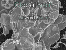 Howard Bloom; science; Big Bang; social psychology; multimedia; grand unified theory of everything;  cosmos; evolution; soul; psychology; Big Bang Tango; animation; street animation; social sciences; attraction; repulsion; Unified Theory; Global Brain; Lucifer Principle; street culture;